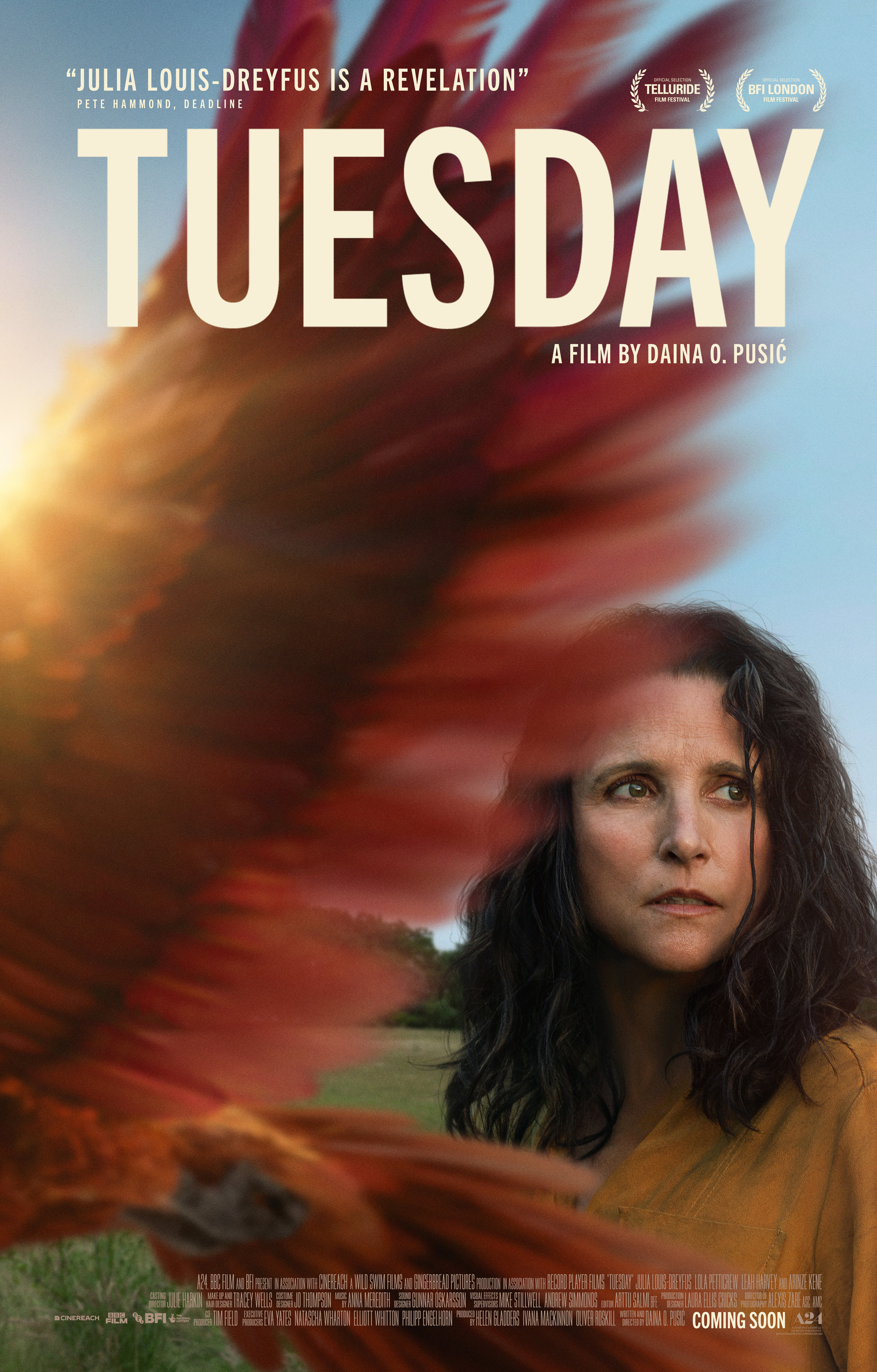 Julia Louis-Dreyfus in Tuesday (2023)