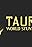 2004 Taurus World Stunt Awards