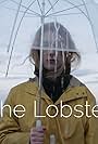 Sarah Elizabeth Mitchell in The Lobster (2018)