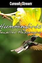 Hummingbirds: Jewelled Messengers (2012)