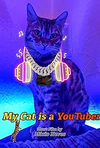 Primary photo for My Cat is a YouTuber