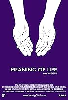 Meaning of Life (2013)