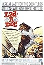 Lad: A Dog (1962)