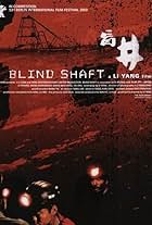 Blind Shaft