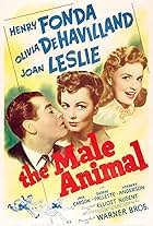 The Male Animal