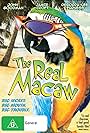 The Real Macaw (1998)