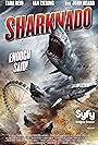 Sharknado (2013)