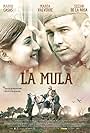 María Valverde and Mario Casas in La mula (2013)