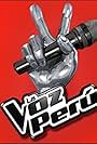 La Voz Perú (2013)