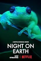 Night on Earth