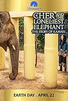 Cher in Cher and the Loneliest Elephant (2021)