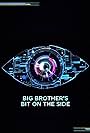 Big Brother's Bit on the Side (2011)