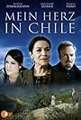 Mein Herz in Chile (2008)