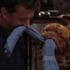 Tom Hanks and Beasley the Dog in Turner & Hooch (1989)