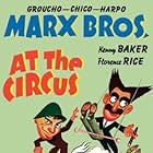 Groucho Marx, Chico Marx, and Harpo Marx in At the Circus (1939)