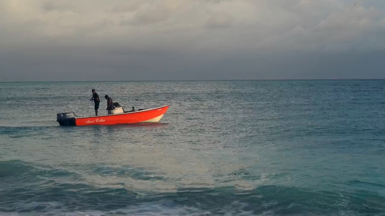 Sea of Hope: America's Underwater Treasures (2017)