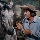 Bob Denver in Dusty's Trail (1973)