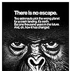 Back to the Planet of the Apes (1980)