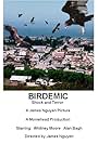 Birdemic: Shock and Terror (2010)