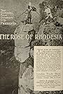 The Rose of Rhodesia (1918)