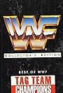 Best of WWF Tag Team Champions (1993)