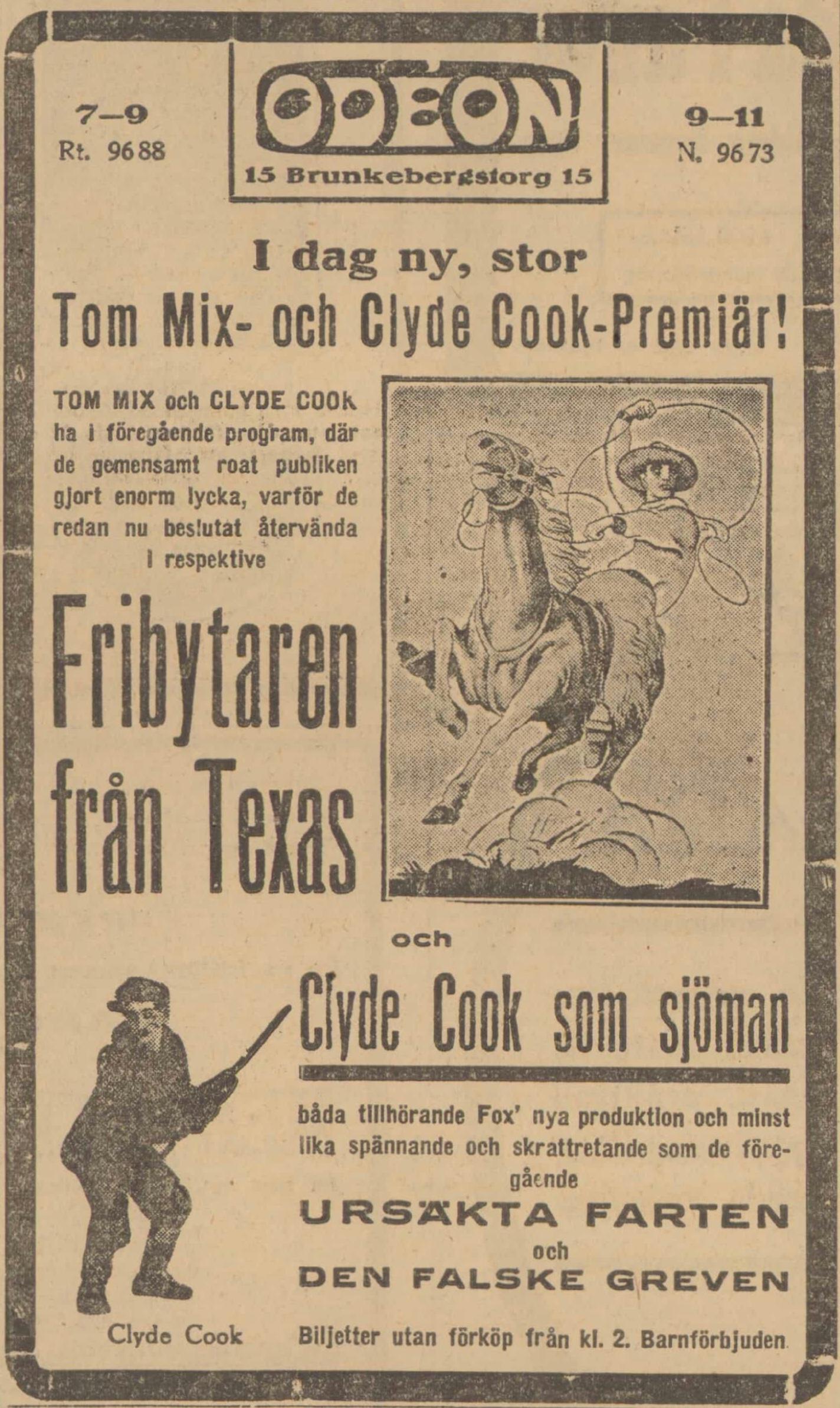 The Texan (1920)