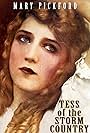 Tess of the Storm Country (1914)