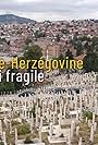 Bosnie-Herzégovine - Une paix si fragile (2023)