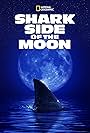 Shark Side of the Moon (2022)