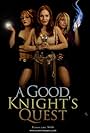 A Good Knight's Quest (2010)