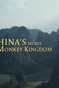 Primary photo for China's Secret Monkey Kingdom