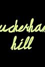 Buckerham Hill (2013)