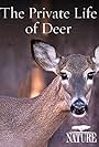 The Private Life of Deer (2013)