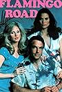 Flamingo Road (1980)