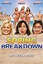 Parker Posey, Rachel Dratch, Sophie Monk, Amy Poehler, Jana Kramer, and Kristin Cavallari in Spring Breakdown (2009)