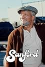 Redd Foxx in Sanford (1980)