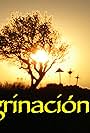 Peregrinación (2008)