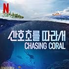 Chasing Coral (2017)