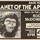 Back to the Planet of the Apes (1980)