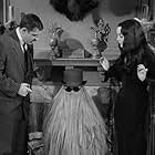 John Astin, Carolyn Jones, and Felix Silla in The Addams Family (1964)