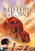 Where the Red Fern Grows (1974)