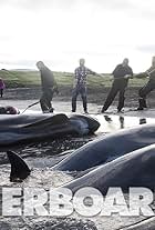 The Grind: Whaling in the Faroe Islands (2015)