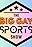 The Big Gay Sports Show