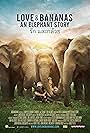 Ashley Bell, Lek Chailert, and Noi Na in Love & Bananas: An Elephant Story (2018)