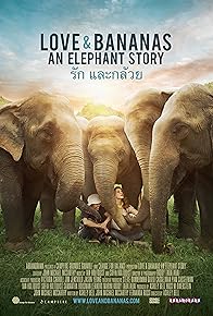 Primary photo for Love & Bananas: An Elephant Story