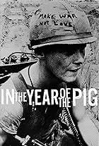 In the Year of the Pig