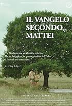 Il vangelo secondo Mattei (2016)