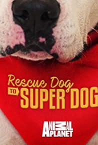 Primary photo for Rescue Dog to Super Dog