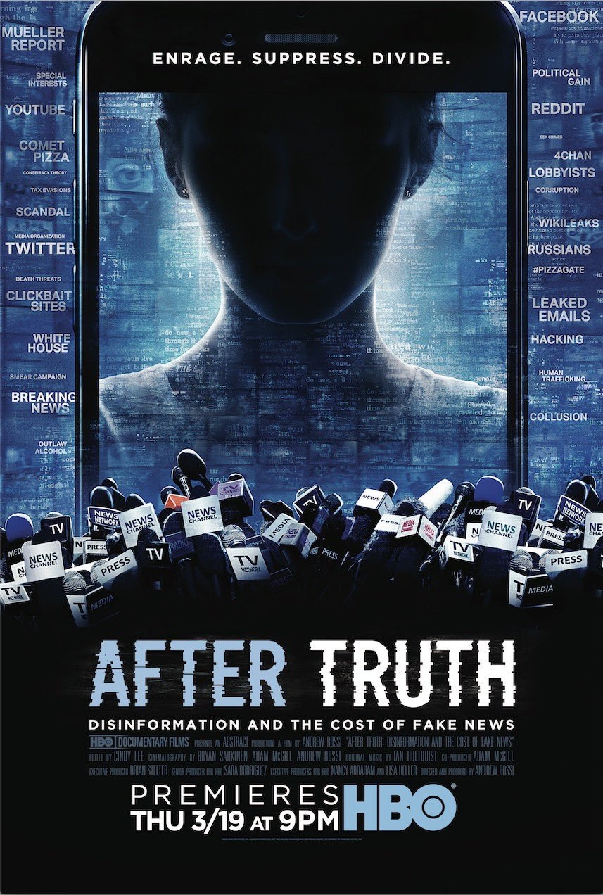 After Truth: Disinformation and the Cost of Fake News (2020)