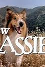 Lassie in The New Lassie (1989)